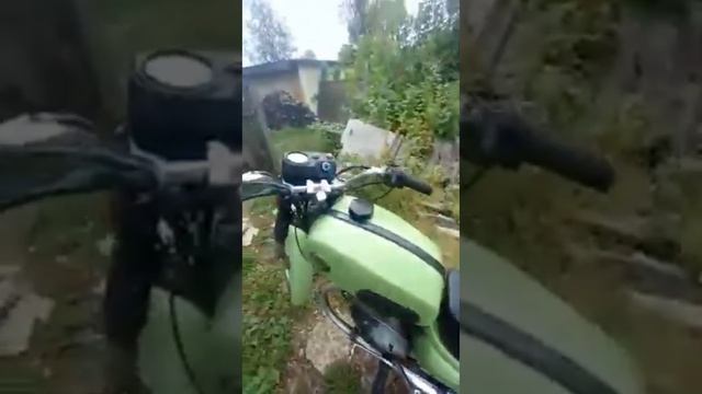 Восход 3 м зелёный друг