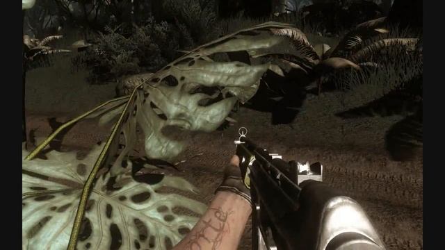 Far Cry 2 on Nvidia GTX9800 512MB смотреть онлайн