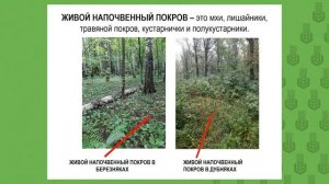 Лесоводство 1.2