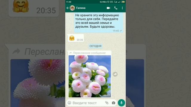 Настроить , добавить избранные сообщения в WhatsApp смотреть онлайн