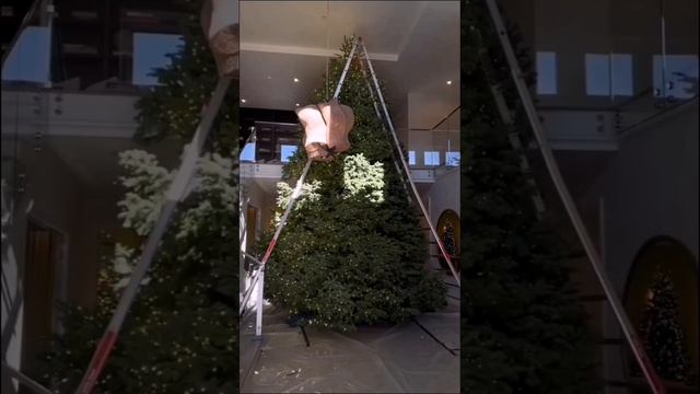 рождественская елка Кайли Дженер смотреть онлайн