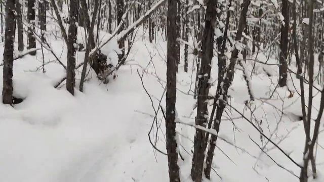 Зимний костюм Тритон Pro -45 Вельбоа. Тест в -25 до -35 в ходовом варианте. смотреть онлайн