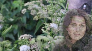 Мистерия богини любви - Фрейи