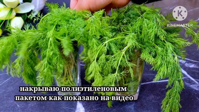 БОЛЬШЕ НЕ ПОКУПАЮ ЗЕЛЕНЬ РАНЬШЕ 2-Х МЕСЯЦЕВ.СОВЕТИ И ХИТРОСТИ УМНЫХ ЖЕНЩИН смотреть онлайн