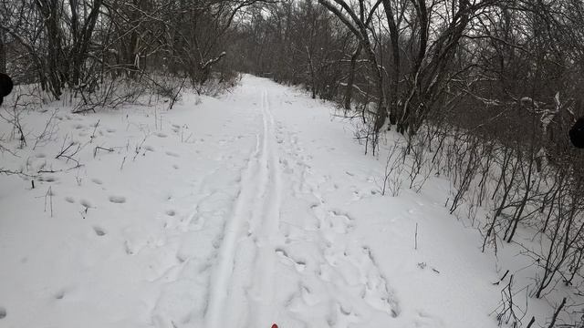 Лыжная прогулка в селе Монастырское. Февраль 2024. Часть 2