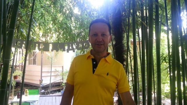 Отзыв об эко-гостевом доме Бамбук Хутор, главы Всероссийской ассоциации танцев и пр Андрея Кокоулин смотреть онлайн