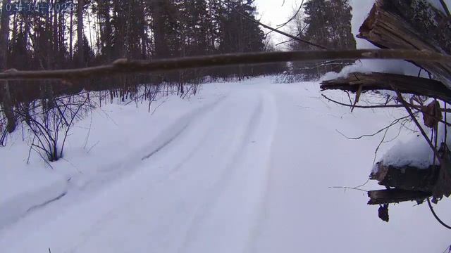 Снегоход Рыбинка 1_2_3_4 Go! Max Speed 29 по лесу. Гусянка почти разложилась на составляющие)