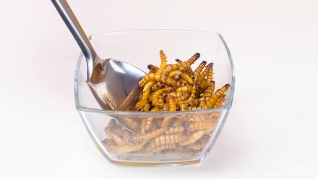 Шоколадное фондю Челлендж #1 | Шоколадный Фонтан от RaPaPa Challenge