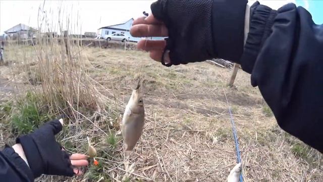 Рыбалка в Завьялово смотреть онлайн