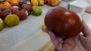Томат Циндао. Дегустация. Мои заготовки.