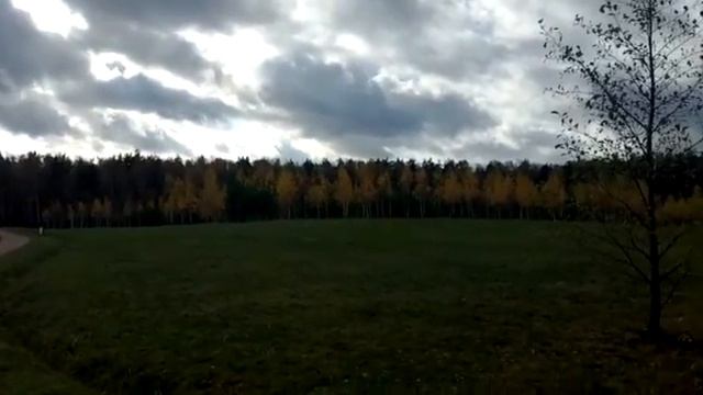 Мещерский парк смотреть онлайн