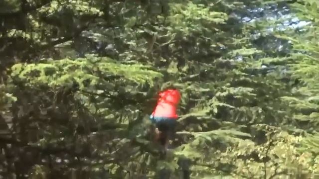 Мужик пугает прохожих в костюме медведя смотреть онлайн