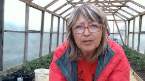 ЕЖЕВИКА.СХЕМА ОБРАБОТКИ.