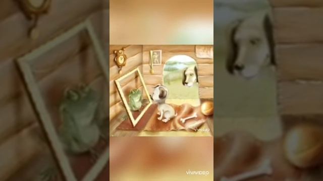 Сказка Лягушонок в зеркале Д. Биссета. смотреть онлайн