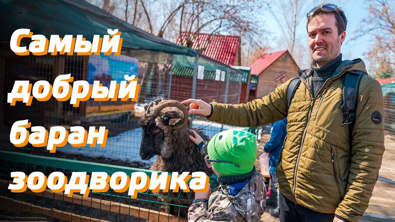 ЗООДВОРИК ДЛЯ ВСЕХ / КОРМИМ И ГЛАДИМ ЖИВОТНЫХ / ЕЖЕДНЕВНЫЙ СЕМЕЙНЫЙ ВЛОГ - DAILY FAMILY VLOG смотреть онлайн