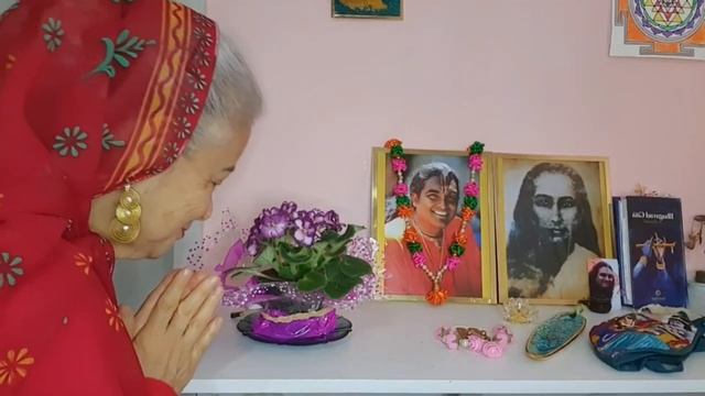 Sri Vitthala Krishna Narayana - 13062022 / Bhakti Marga Brasil смотреть онлайн