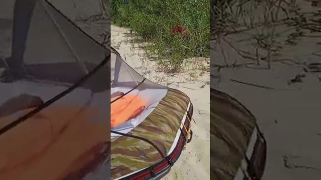 ч.5 того же дня, по берегам и островам Дона на лодке Альтаир ПВХ, 340 смотреть онлайн