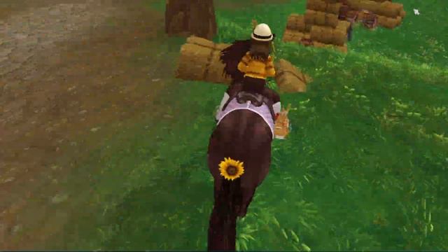 Cocotail's (Cocktail) Level 15 Championship - Silverglade [Star Stable] смотреть онлайн