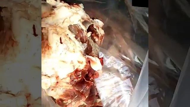 Мясо для собак смотреть онлайн