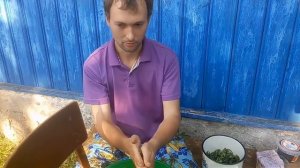 ферментация иван-чая, копорский чай, как ферментировать иван-чай, заготовка иван-чая,