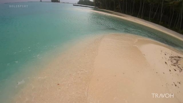 Tropical Island Walk | Ocean Beach Nature | Motu Tane | Bora Bora, French Polynesia ?? | 4K Travel смотреть онлайн