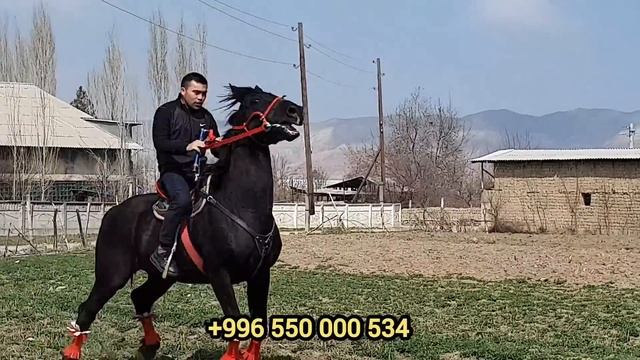 САТЫЛДЫ смотреть онлайн