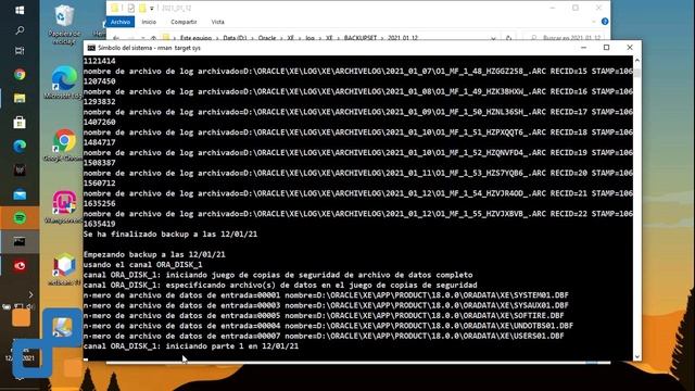 Respaldo Oracle 18c Express Edition Datafiles mas Archivelogs смотреть онлайн