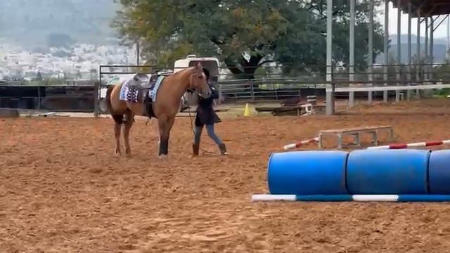 15 and under Ayala Harel # virtual show 1 Sweet Midnight Dream 1919 смотреть онлайн