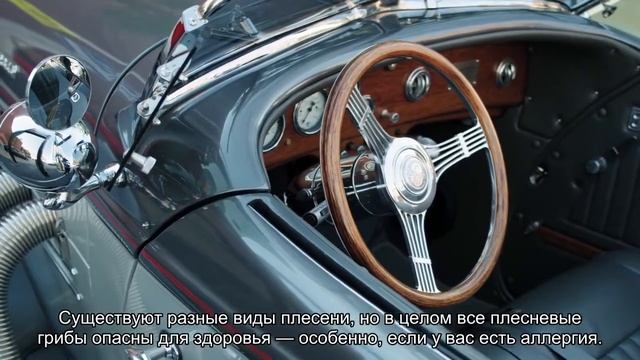 Как избавиться от плесени в автомобиле после зимы смотреть онлайн