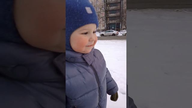 Русская зима не для английского бультерьера 🐾🥶😆 смотреть онлайн