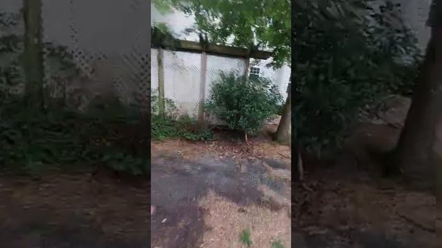 Defcon 3 has moved смотреть онлайн