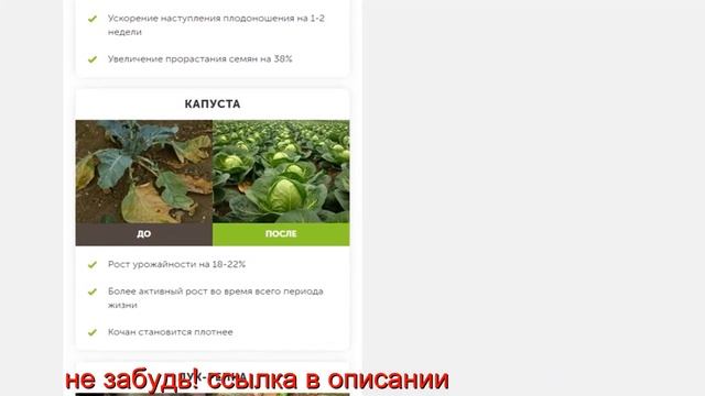 AGROPLANT комплексное гранулированное биоудобрение купить Каменец-Подольский смотреть онлайн