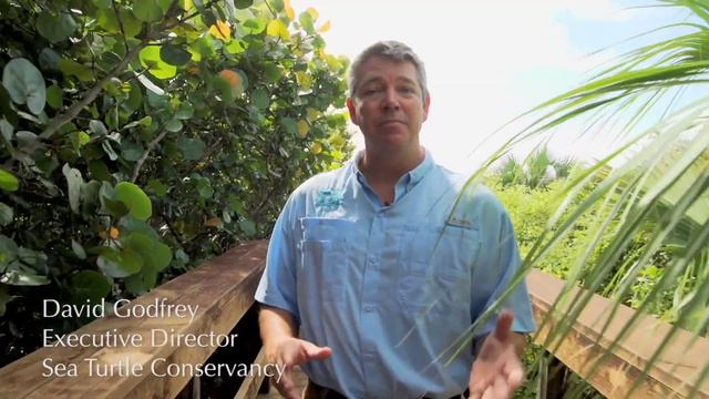 Ahead of the Tide смотреть онлайн