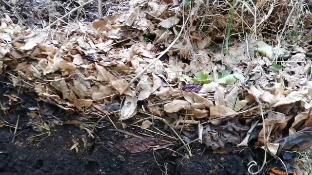 КОМПОСТ РОБИМО САМІ смотреть онлайн