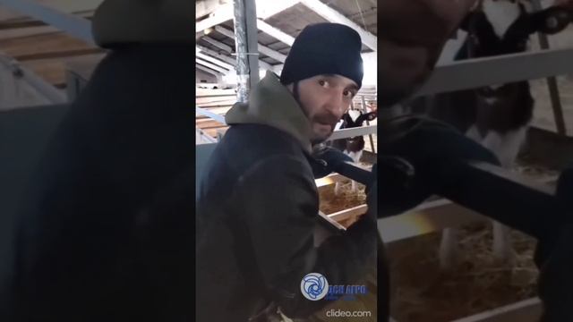 Обзор установленных поилок с подогревом, в Актанышском районе. смотреть онлайн