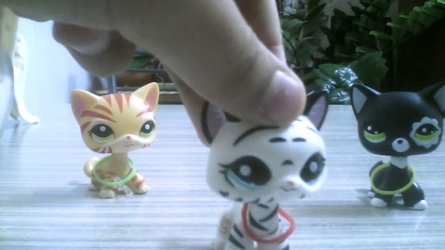 Показываю снова лпс и говорю снова куда едем смотреть онлайн