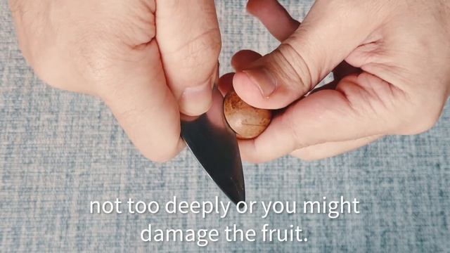 SECRET TECHNIQUE to open Macadamia nuts! смотреть онлайн