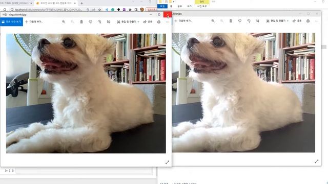 [Python] 파이썬 heic jpg 변환 이미지 파일 밝기 조절 смотреть онлайн