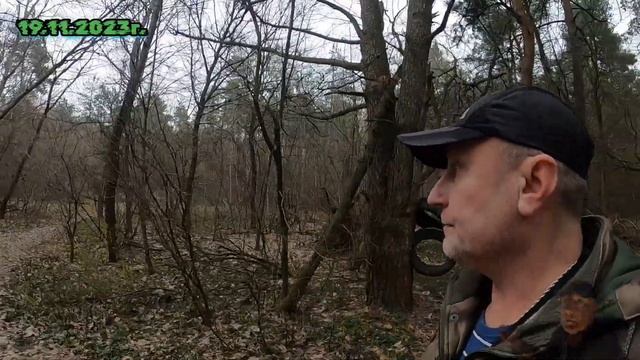 19.11.2023г. Жорик красавчик / Индийский слон/Белка красавица села на ладонь и съела много орехов ? смотреть онлайн