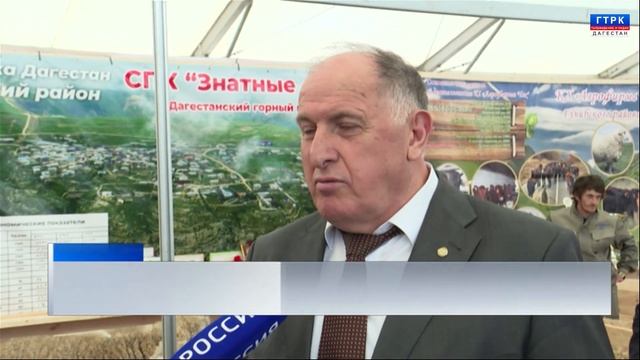 Всероссийская выставка племенных овец и коз сегодня открылась в Каспийске смотреть онлайн