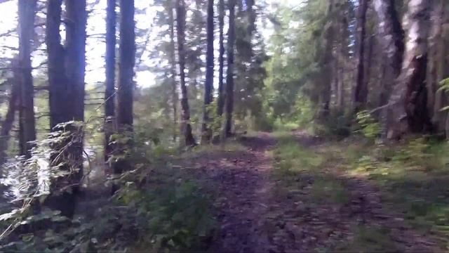 #kugoo C7 Поездка на Пузиковское озеро. Покатушки по лесу 3950 ватт Погоня за белым Таурегом)))