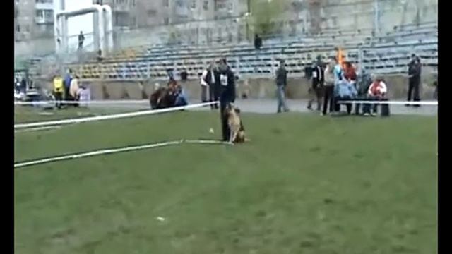 Жаклин. Первая проверка рабочих качеств. Ростов 2008г. смотреть онлайн