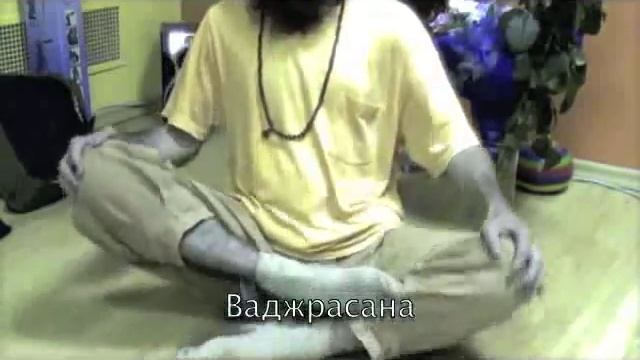 Siddhasana смотреть онлайн