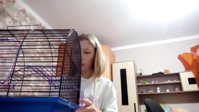 Кого я купила? Купила животное, а мама об этом не знала.Обустраиваю домик. Люба тв) 24.10.21 смотреть онлайн