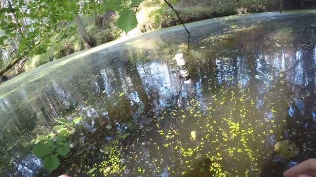 Ставлю летние жерлицы - поставушки на щуку.