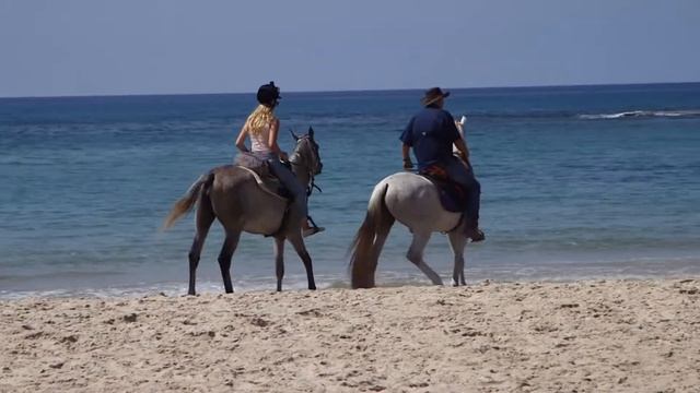 SIRIN RIDERS - Horseback Riding Vacations in Israel - www.ride-israel.com смотреть онлайн