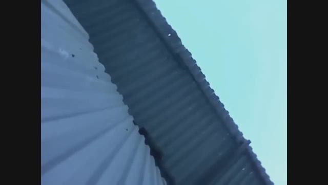 ЭГОИЗМ 80 lvl Приколы с девушками эгоистками, спортсменками Девушки за рулем смотреть онлайн