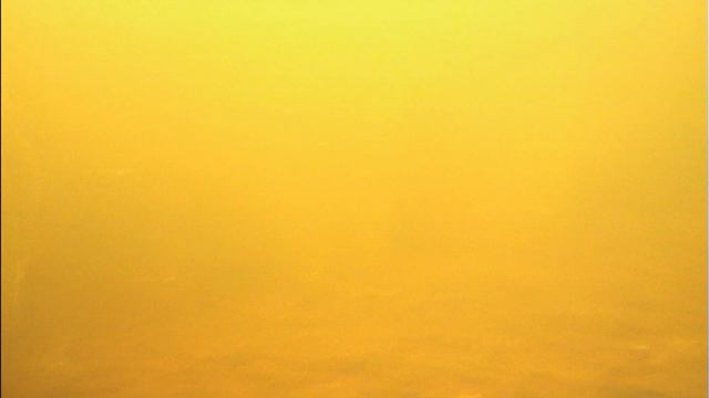 Отводной канал. Под восточным мостом. 05.06.2024 смотреть онлайн