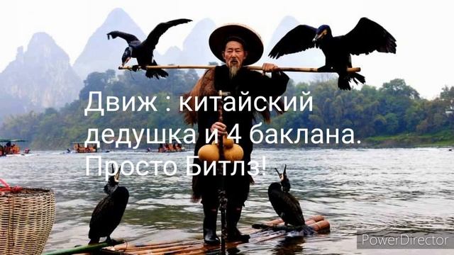 17 выпуск. Большой баклан. Китайская рыбалка. Влог о животных. смотреть онлайн