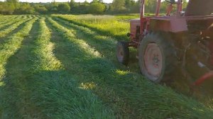 Сенокос, т25 с косилкой wirax 1,65